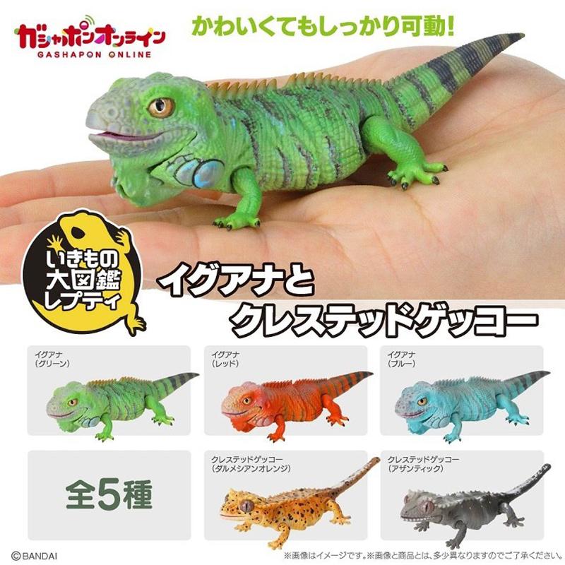 Genuine Popularity Gacha Biological Atlas Common Ameiva Correlophus Ciliatus Joint Movable Action Figure Model Toys
