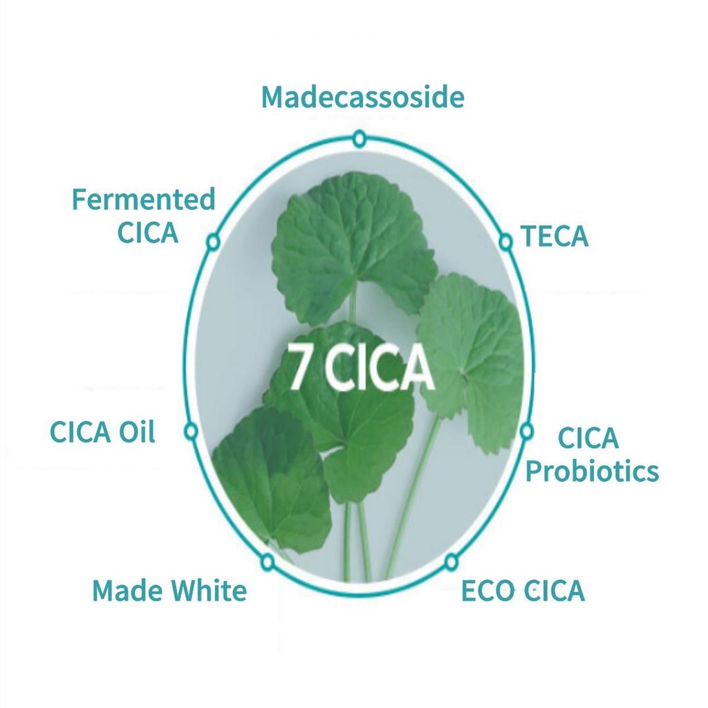 APIEU NEW Madecassoside CICA Ampoule 50ml