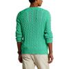 Polo Ralph Lauren Solid Color Crew Neck Ribbed Knit Sweater Men Sweater Green 710775885-505