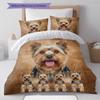 Yorkshire Terrier Sznaucer Wzór Pościel Kołdra Zestaw Poszewka na Kołdrę Poszewka na Poduszkę Dekoracja Domu Prezent (1 * poszwa na kołdrę + 2 * poszewki na poduszki, bez rdzenia)