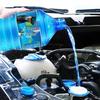 Car Friend Non-Concentrated Antifreeze Windshield Washer & Insect Remover