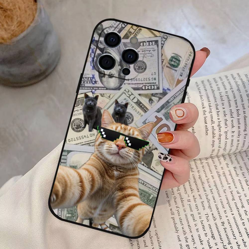 Funny Cute Cat Phone Case For iPhone 17, 16,15,14,13,12,11 Plus,Pro Max, Others Soft Black Cover