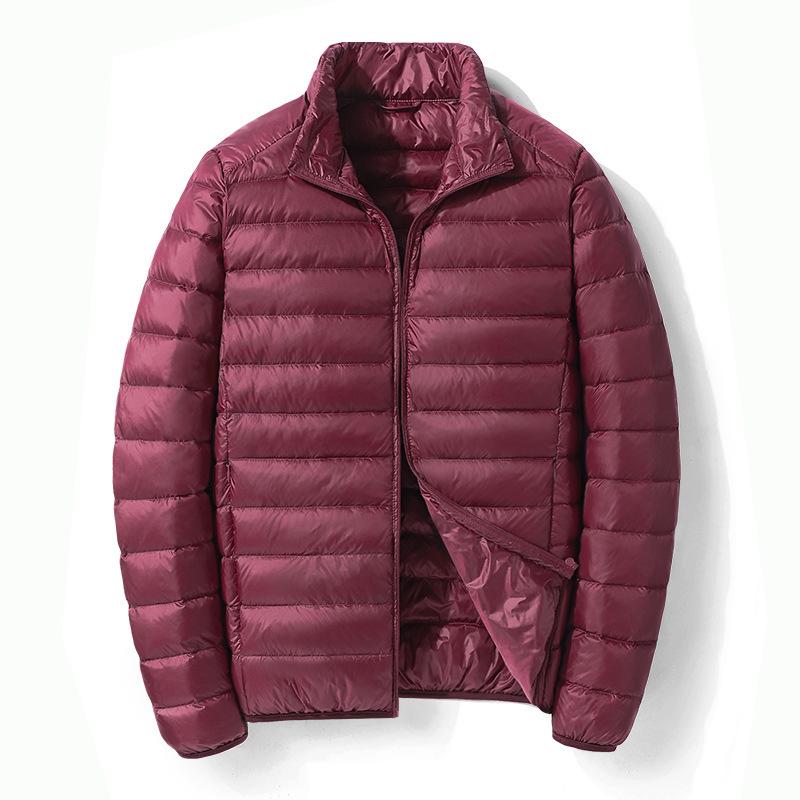 Men's Gray Lightweight Short Down Jacket - 2024 Autumn/Winter Trendy Casual Style