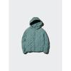 Uniqlo Pufftech Parka
