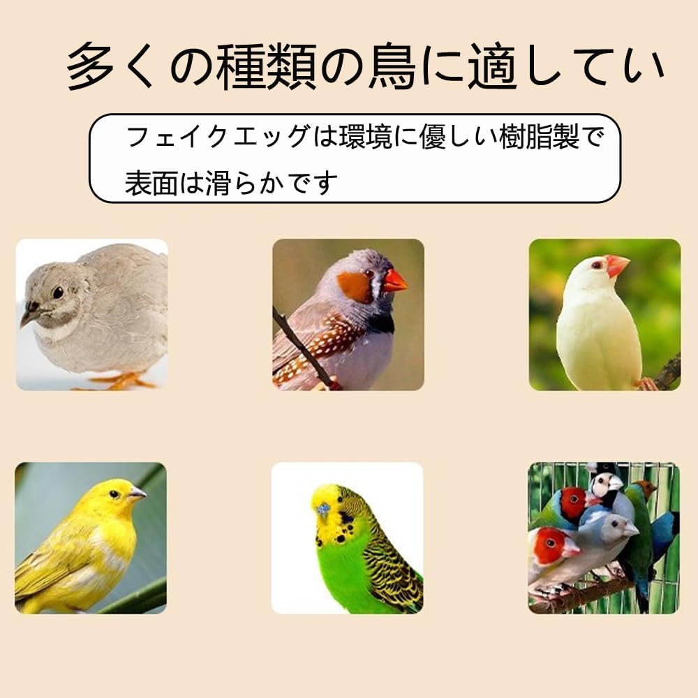 Jucării Pasăre False pentru Set de 10 Ouă de Plastic Imitație pentru Peruși și Păsări Mici Accesorii Ouă pentru Hrănire DIY Accesorii Grădinărit Ouă, Peruși, Păsări, Consumabile,