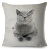 Cute Cat Pillowcase Decor Lovely Pet Animal Print Cojines Cushion Cover Polyester Pillow Case for Home Sofa Children Room 45x45