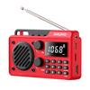 Pocket Radio Wireless BT Speaker Battery Operated Radio Support TF Card U Disk Earphone Sleep Timer for Indoor Outdoor Travel