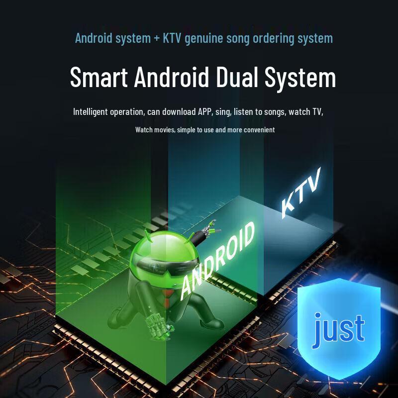 Aigo S15 High-Power Portable Karaoke Speaker