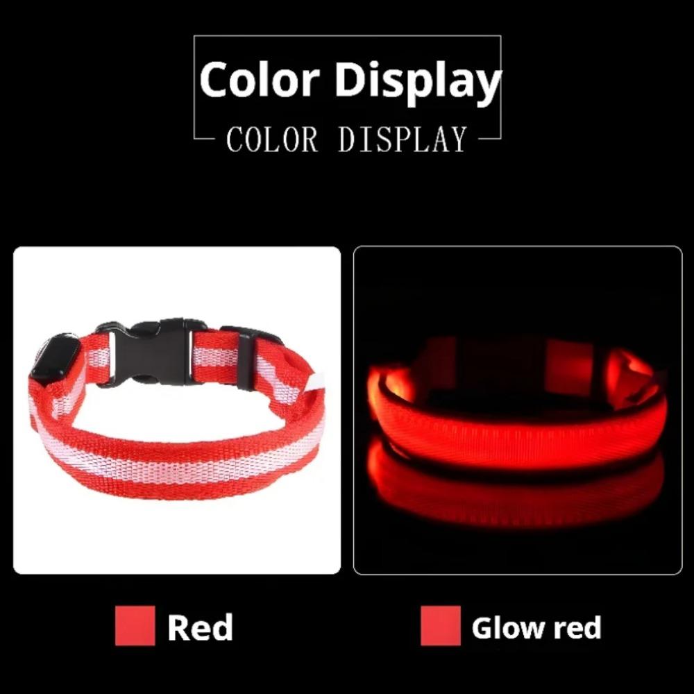 Light Up the Night - Stay Visible with Dog Glow Collar, Anti-Lost and Flashing Design for Safety