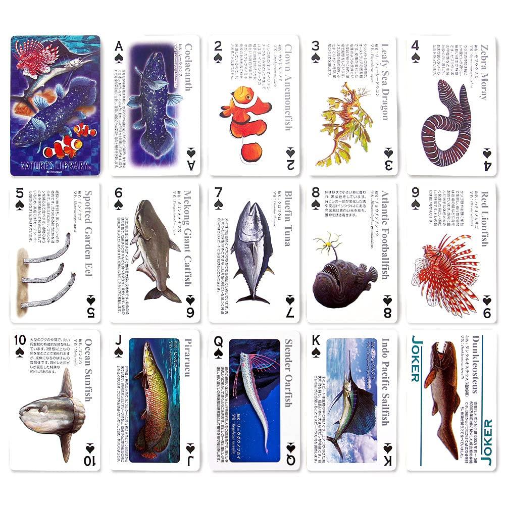 Carolata Real Fish Playing Cards Animal Fish Toy Educational Toy Playing Card Game Picture Book Gift Present (Fish/Quiz Included/Plastic)
