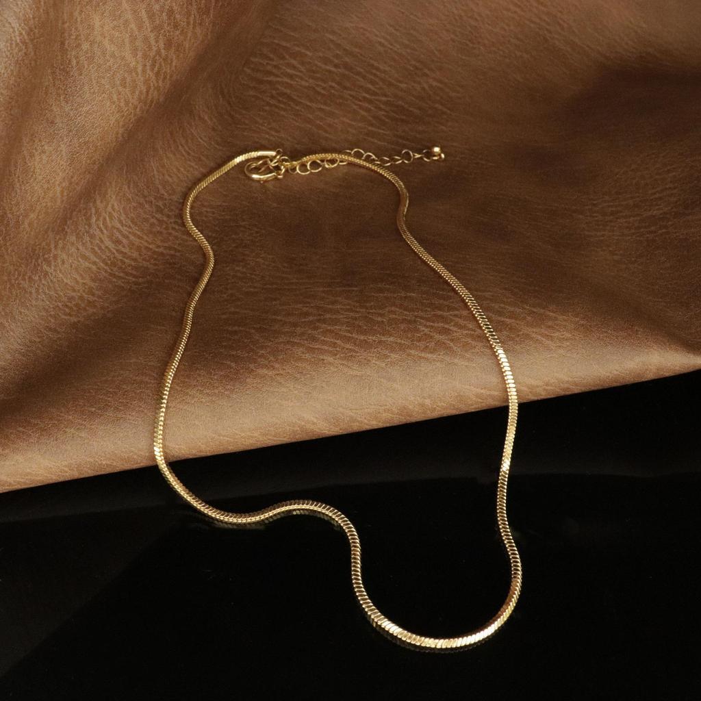 European & American Style Snake Bone Chain Necklace - Simple, Versatile, Basic Jewelry for Everyday Wear