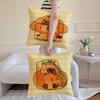 Guinea Pig Cake Cushion Cover Anti-dustmite Pillowcase Invisible Zipper Silky Short Plush Sofa Cushion Cover