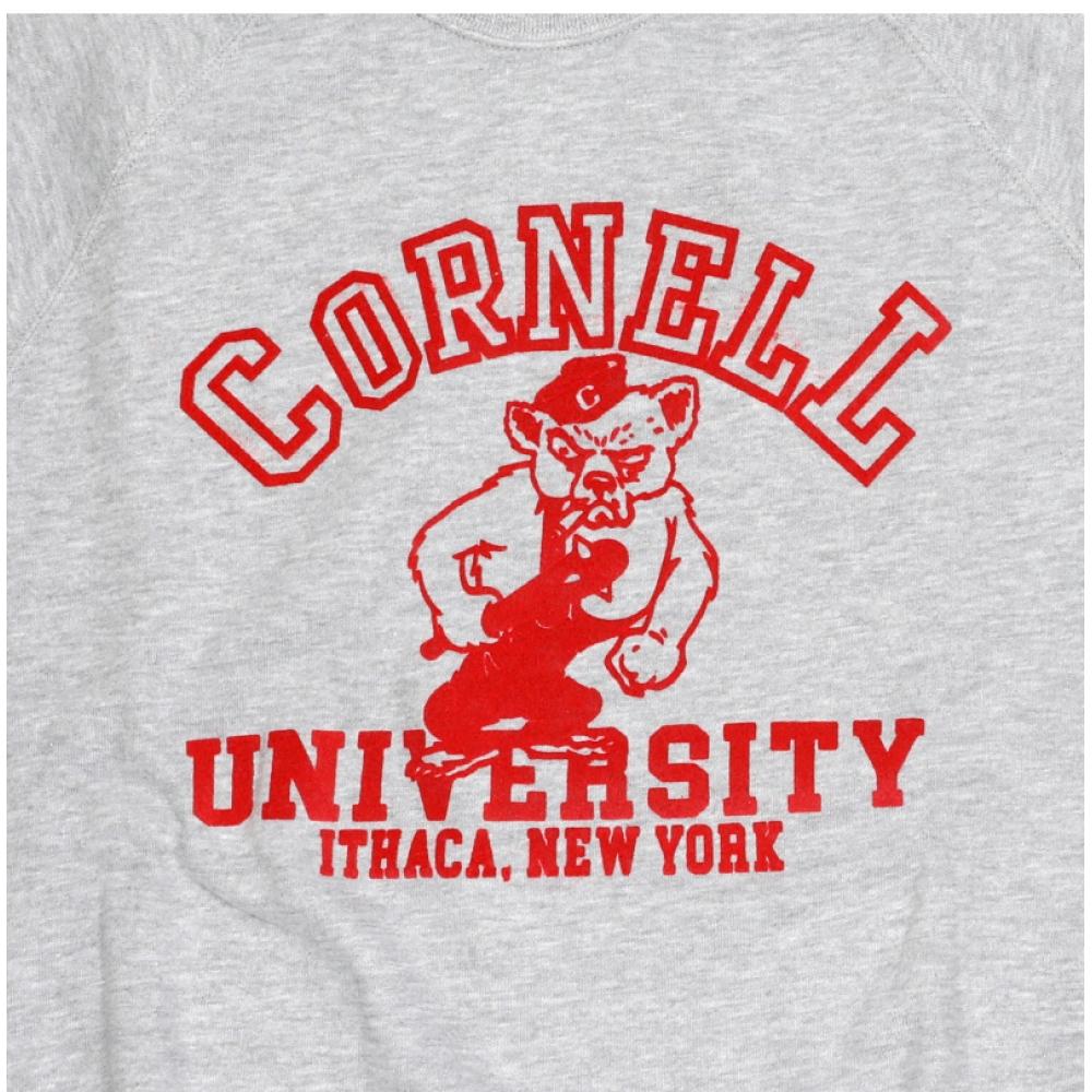 Wild Donkey Heather Grey Unisex Sweatshirt Cornell