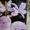 NEW 3D Simulated Flowers 40CM Colorful Veil Butterfly Large-scale Giant Layout Background Decoration Road