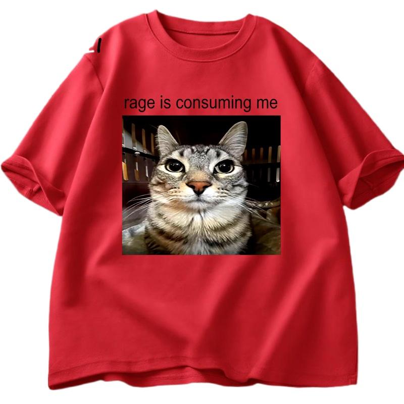 

Rage Is Consuming Me Silly Staring Cat Meme Tee Shirt Casual Short Sleeve T-shirts Men Women Cat Lover T Shirt Over Sized Summer 4XL