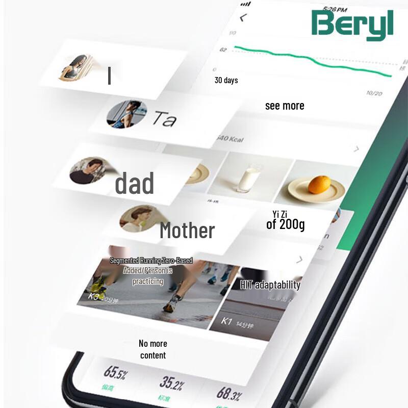 BERYL Electronic Body Scale (CN Version)