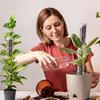 Moss Pillar Moss Scaffold Plant Climbing Stereotype Column High Quality Plant Climbing Fixed Column