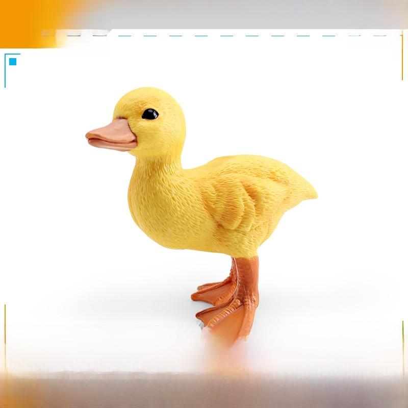 Childrens Pvc Bird Figurines Set For Farm Scene Decor And Learning Activities