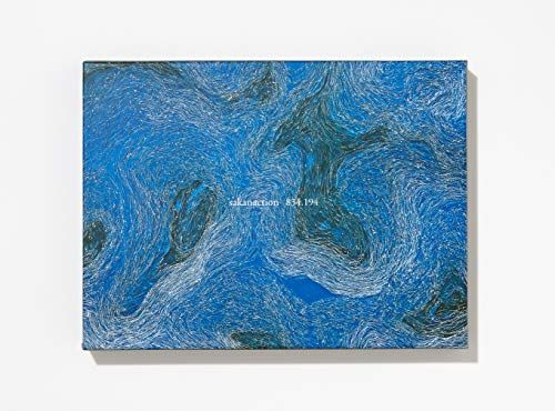 

[USED] (CD) 834.194 (Limited Edition A [2CD+BLu-ray / Deluxe Special Package]) (No application lottery postcard) /