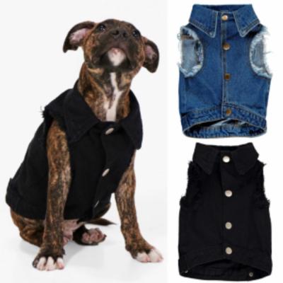jean jacket for dogs