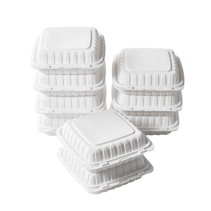 Biodegradable Three-Compartment Bento Box with Hinged Lid