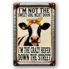 Metal Tin Sign Funny Home Decor Novelty Wall Art for Bar Cafe Garage Farmhouse Room