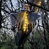Halloween Party Hanging Skull Skeleton Ghost Ornament Horror Props Haunted House Decorations Halloween Party Outdoor Decorations