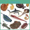 Model Realist din PVC cu Design Realist al Animalului Marin din Adâncuri Anomalocaris Pentru Decor Acvariu