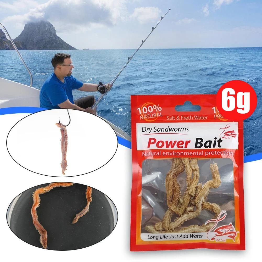 1-10pcs Dry Sandworms Fishing Lures Lifelike Dry Lugworm Sandworms Artificial Sea Worms for Saltwater and Freshwater Fishing