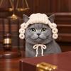 Gatos – Roupa para gatos