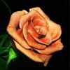 5D DIY Diamond Painting Rose Flower Diamond Embroidery Fresh Flowers Cross Stitch Full Round Drill Manual Home Decor Gift