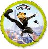 Balão de Folha 18 Fx - Miraculous - Cat Noir