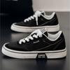 Summer Spring Autumn Casual Shoes Breathable Fashionable New Versatile Canvas Suitable for Daily Wear and Various Occasions