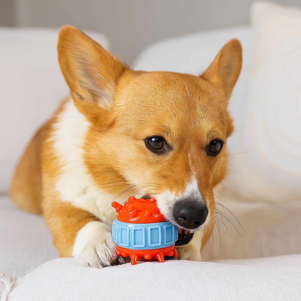 4 Pcs/set Bite Resistant Interactive Dog Toys TPR Colorful Teeth Cleaning Wear Resistant Dog Chew Self-Entertainment