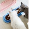 Tilted Neck Protection Pet Feeding Bowl Extra Long Cat Dog Feeder Cat Water Feeder  Pet Household