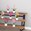 5 Heads Artificial Butterfly Orchid Potted Bonsai Home Garden Balcony Desktop Bedroom Living Room Decoration Fake Plants Bonsai