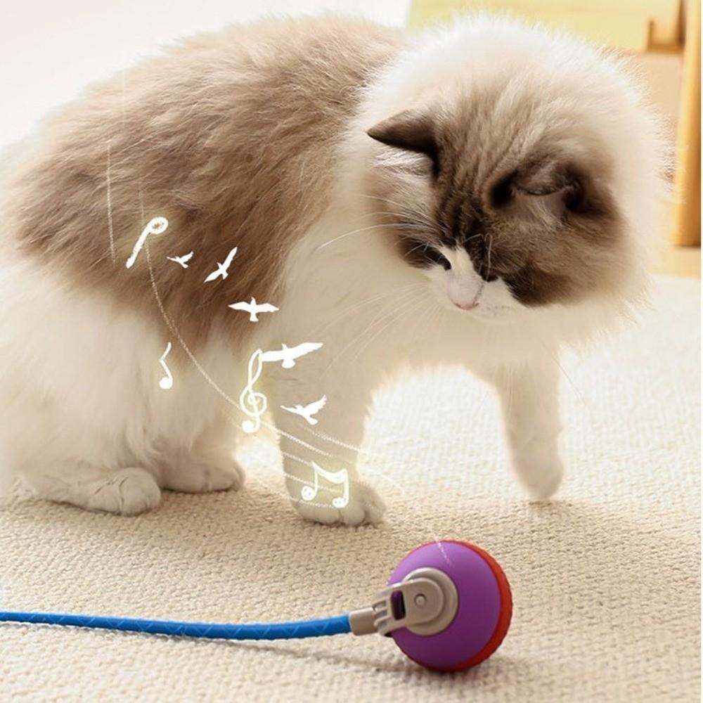 Adjustable Cat Teaser Ball Small Tail Electric Cat Teaser Interactive Cat Toys Energy-Consuming