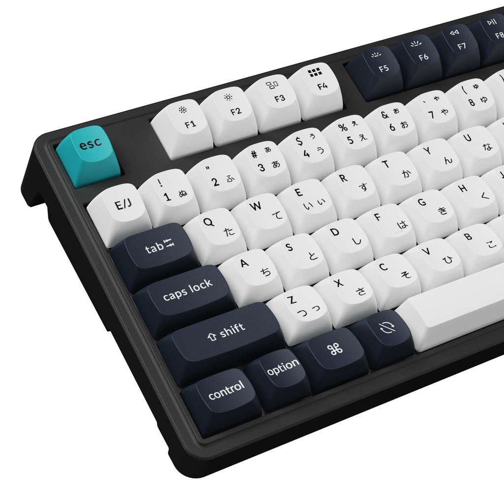 Keychron C3 Pro Custom Gaming Keyboard, Compact Tenkeyless LayoutJIS LayoutRGB BacklitWired Mechanical KeyboardHot-SwappableGasket MountDouble-Shot