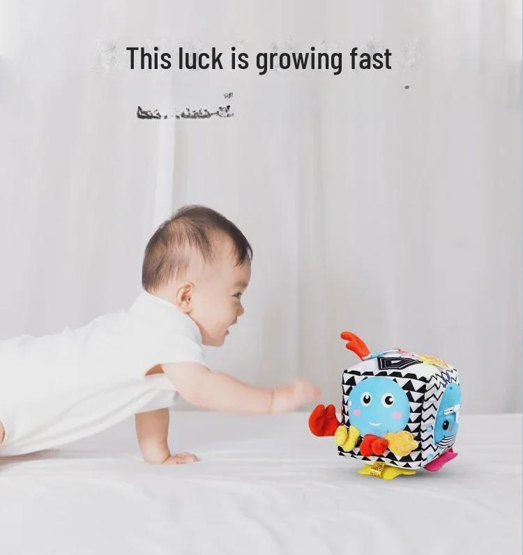 Crab Cube Infant Teaching Toy: Early Education & Dressing Aid Dice