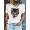 Basic Loose-Fit Color-Blocked T-Shirt, Casual Short-Sleeve Round-Neck
