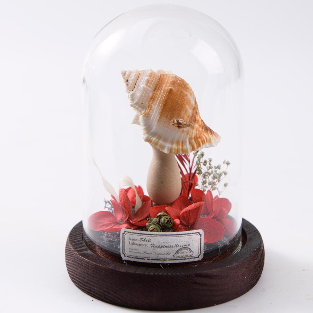 Eternal Flower Dried Flower Glass Cover Cylindrical Small Sea Urchin Night Light Gift Ornament Holiday Gift for Children and Friends