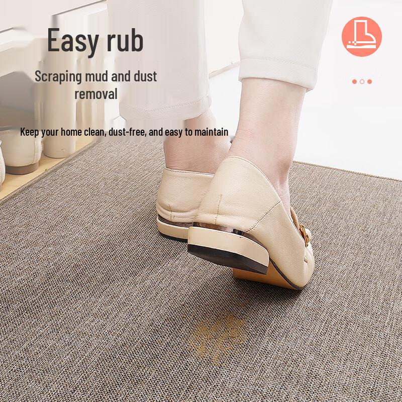 Dajiang Luxury Anti-Slip Entrance Doormat