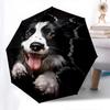 Dog- Automatic umbrella, Four Seasons Portable Folding Umbrella, Suitable for Men and Women, Travel, Daily Compact Umbrella, Outdoor Accesso