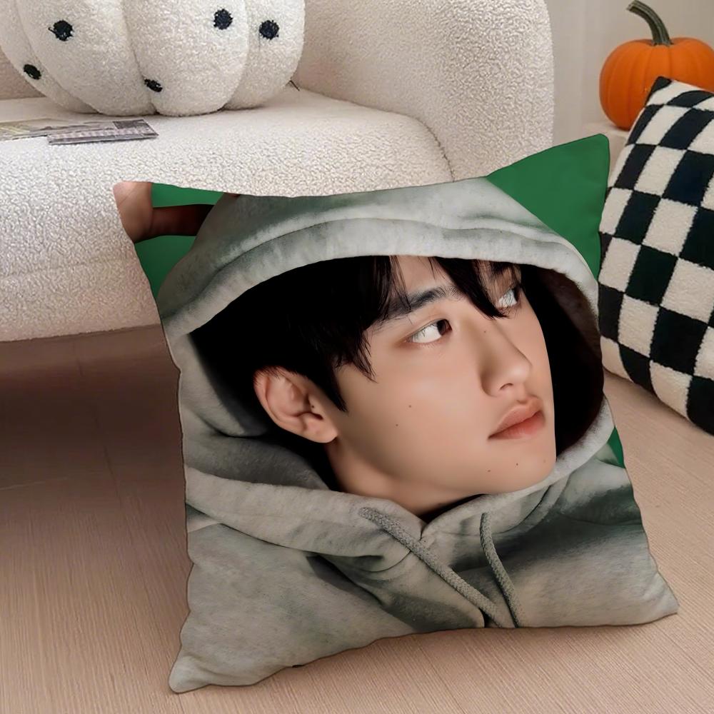 South Korea EXOK Idol DDoh Kyungsoo DO Cushion Cover Throw Pillow Cover Hidden Button Durable Polyester Chair Cushion