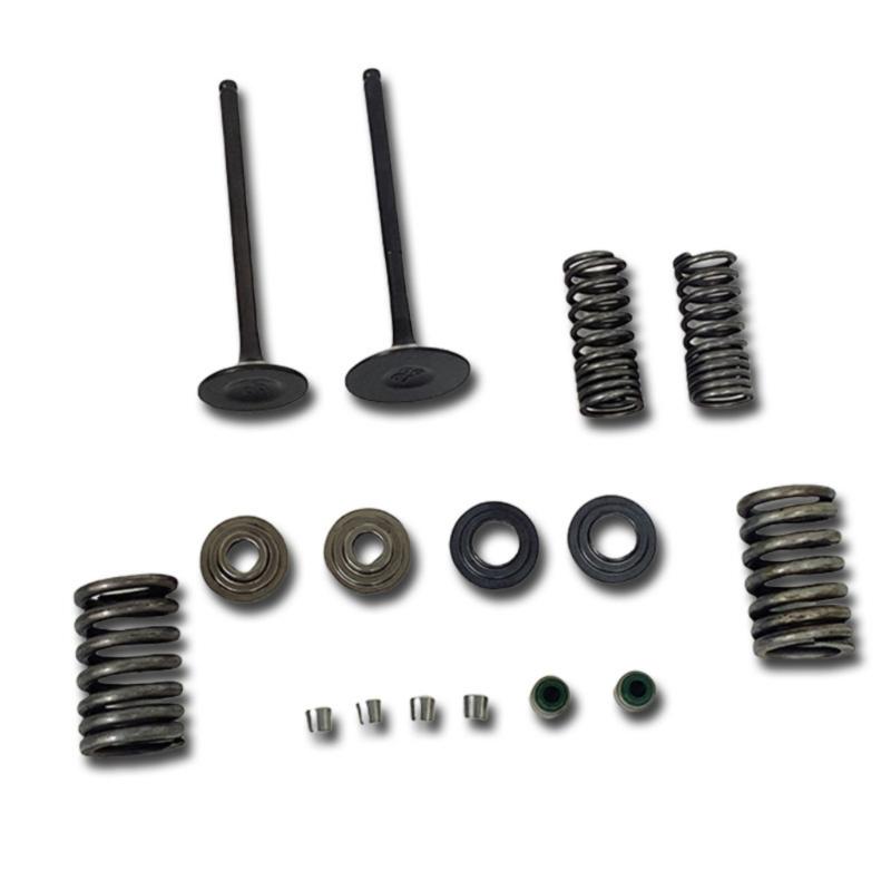Heavy Duty Engine Valves For CBF150 XR150 KTT150 SDH150 Bikes Reduced Wear Construction With Enhancing Heat Resistance
