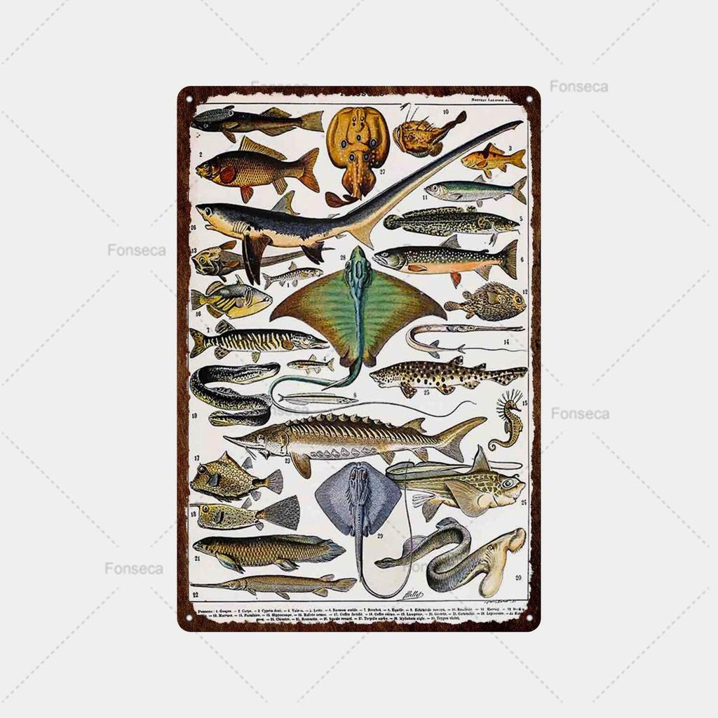 Ryby, ryby, květiny Odrůda Cedule Plechový cedule Vintage plechová cedule Bar Vintage Wall Decor Bar Club Man Cave Kovový plakát