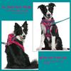 Splicing Colors Breathable For Medium No Pull Dog Harness for Large Small Dogs Adjustable Chest Strap Outdoor Dog Harness