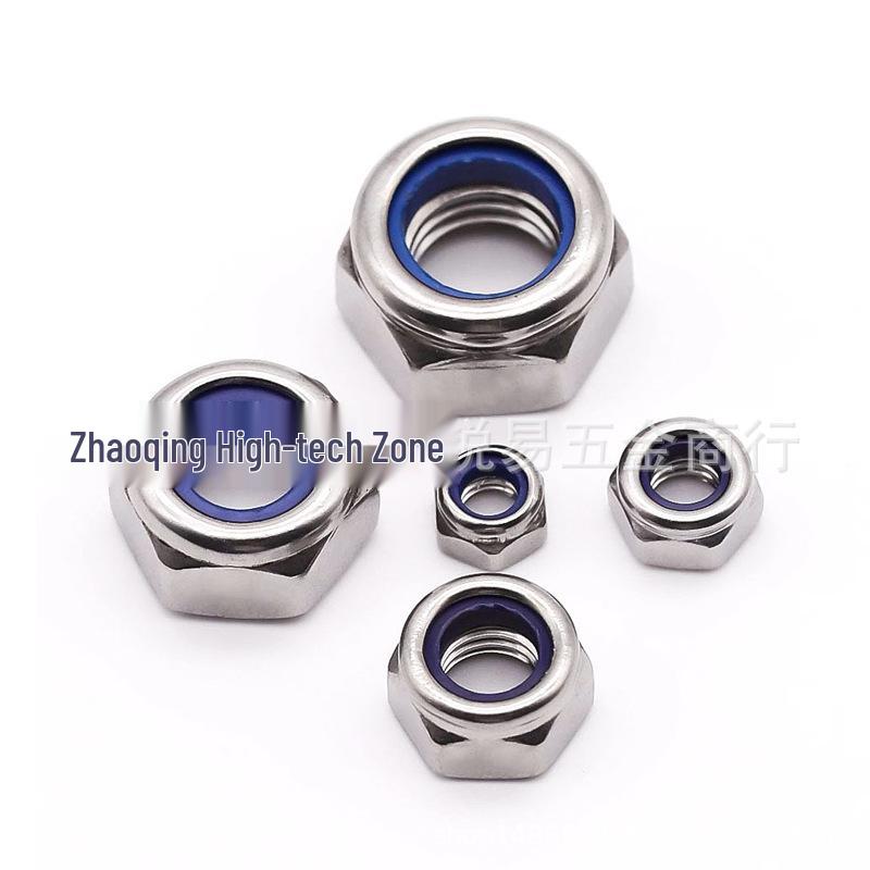 304 Stainless Steel Nylon Insert Self-Locking Hex Nut (M2-M12)