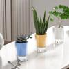 Simple Modern Imitation Glass Succulent PlanterinsCreative Style Desktop Ornament Indoor Green Plant Pot Container