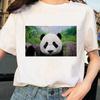 Cute Giant Panda Graphic Tshirt Wos Summer Sexy Top Casual Printed Shirt Fashionable Summer Fashion Polyester Fabric